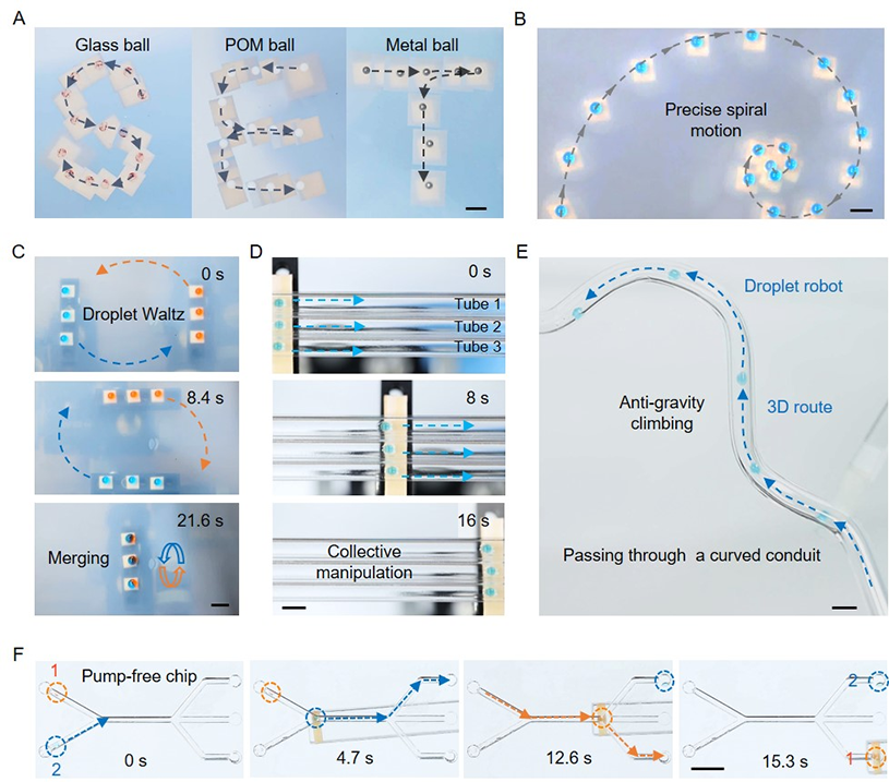 图片3-3.png 图片3-3.png